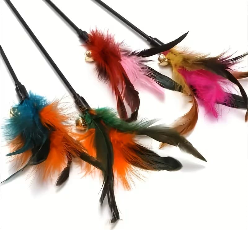 Canne à chat avec plumes