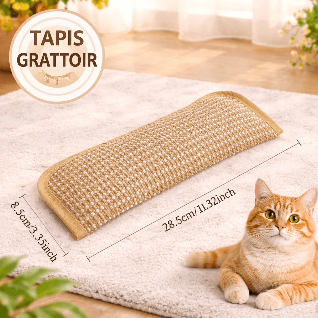 Coussin grattoir pour chat en sisal