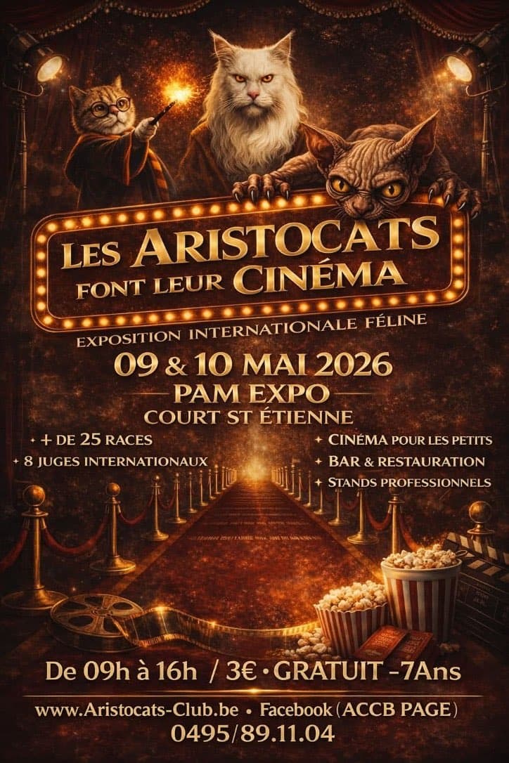 Les Aristocats font leur cinéma